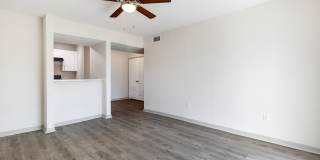Timber Ridge Gallery 16
