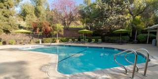 Lime Ridge Gallery 7