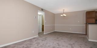 Park Lake — 1 Bed / 1 Bath + Den | Upstairs Condo | Brandon, FL Gallery 5