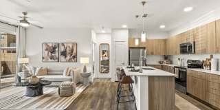 Amavida Marana Gallery 2