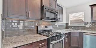 14900 TIM HARDAWAY Gallery 15