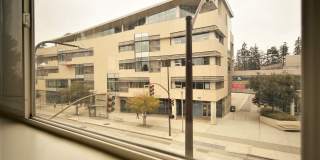 Bancroft Way Gallery 10