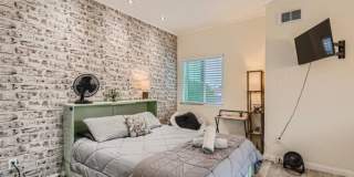 Charming Studio in San Diego Charming Studio in San Diego Gallery 1