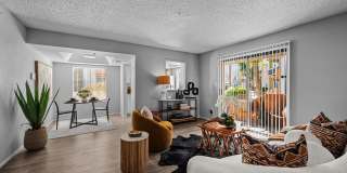 Sierra Walk Gallery 6