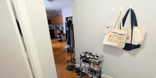 Modern Allston 2-bed, 1-bath Minutes from Packard's Corner Gallery 4