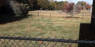 Perfect Family Home in Central Watkinsville Perfect Family Home in Central Watkinsville Gallery 7