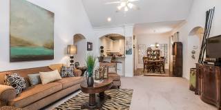 Palmetto Creek Gallery 4