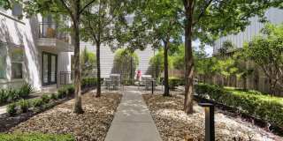 Apex Apartments Gallery 40
