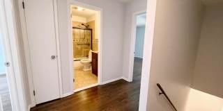 133 Seemans Lane Gallery 18