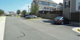 8250 RED CARNATION Court Gallery 3
