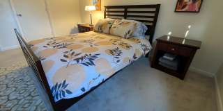 4-Bedroom Student Townhomes in the Heart of Burlington Gallery 22