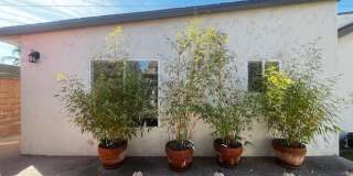 Charming 1BR /1 BA ADU in Whittier Gallery 1