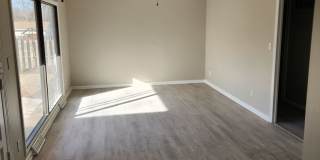 3 bed, 2 bath, 1 car garage Newly remodeled with fenced backyard! Gallery 6