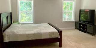 Room in 4 Bedroom Home at Grande Chateau Ln Gallery 15