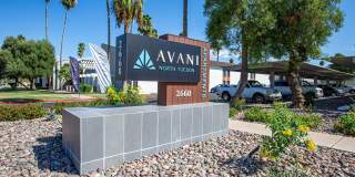 Avani North Tucson Gallery 33