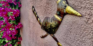 43622 Warner Trail Gallery 46