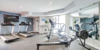 Cityview SD Gallery 20