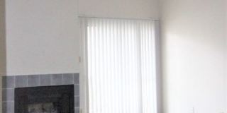 LP1 Research - #522 Gallery 4