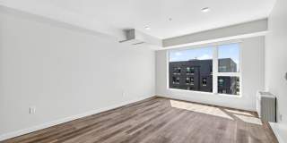 Tanager Gallery 5