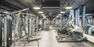 Coda on Half Gallery 15