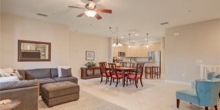 11924 Tulio Way Gallery 6