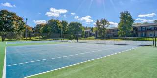 Ashford Place Gallery 28