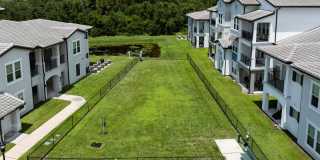 Shadetree Gallery 35