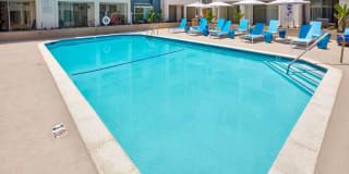 Museum Terrace Gallery 19