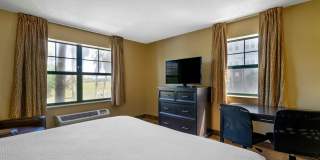 Tampa - Airport - Spruce Street Gallery 1