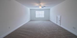 83 Ivy Loop Gallery 26