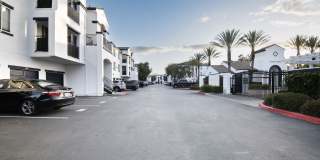 Vista Pointe Gallery 11