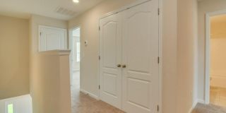 305 Norwich Drive Gallery 20