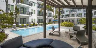 Society Westshore Apartments Gallery 25