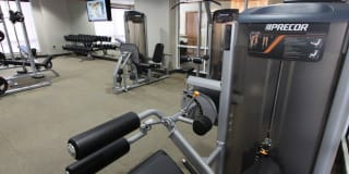 Thomas Court Gallery 18