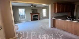 14 Parsley - 1 Gallery 24