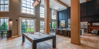 Arcadia 331 Gallery 11