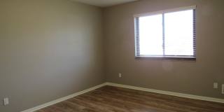 32724 Harper Gallery 8