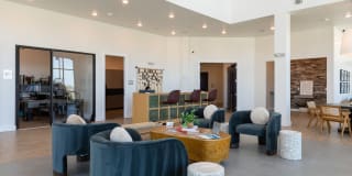 Cavalli at Iron Horse Station Gallery 16