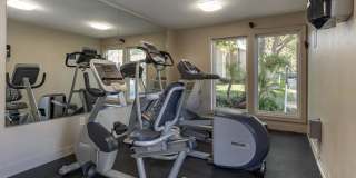 Portofino Gallery 33