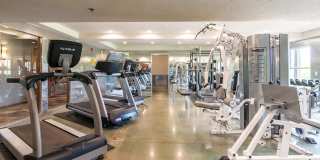 The Falls Gallery 13