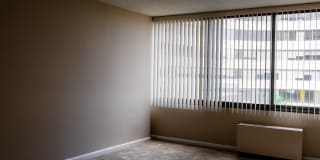 Hampton Plaza Gallery 20