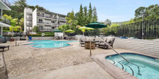 El Gato Penthouse Gallery 2