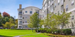 Sofi Danvers Gallery 39