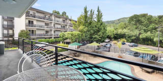 El Gato Penthouse Gallery 3