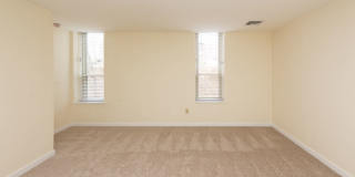 Chestnut Hill East Gallery 8