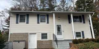 52 Trottingham Road Gallery 1