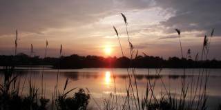 1310 George Street Gallery 30