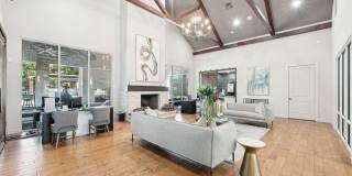 Asheville at Spring Branch Gallery 15