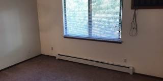 Bright and spacious two Bedroom one Bath, big deck, great location! (34th) Gallery 9