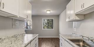 Swift at Riverdale Park Gallery 45